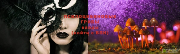 каннабис Магас