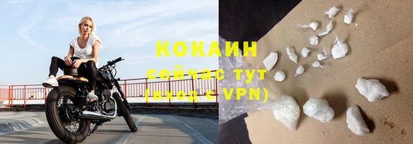 ГАЛЛЮЦИНОГЕННЫЕ ГРИБЫ Майский