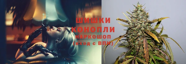 ГАЛЛЮЦИНОГЕННЫЕ ГРИБЫ Майский