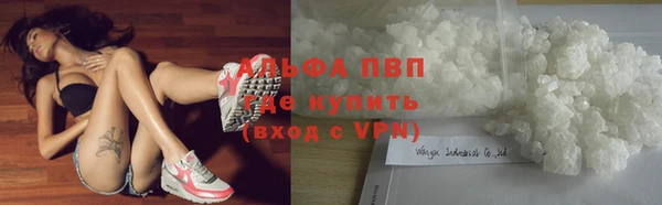 ГАЛЛЮЦИНОГЕННЫЕ ГРИБЫ Майский
