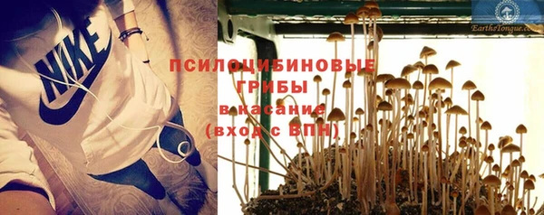 каннабис Магас