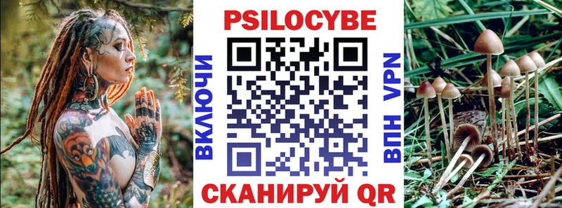 Купить  Джанкой  Псилоцибиновые грибы Psilocybe 